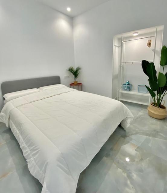 קורדובה Apartamento Isasa מראה חיצוני תמונה
